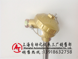 WRN2-630双支热电偶　上海自动化仪表三厂​